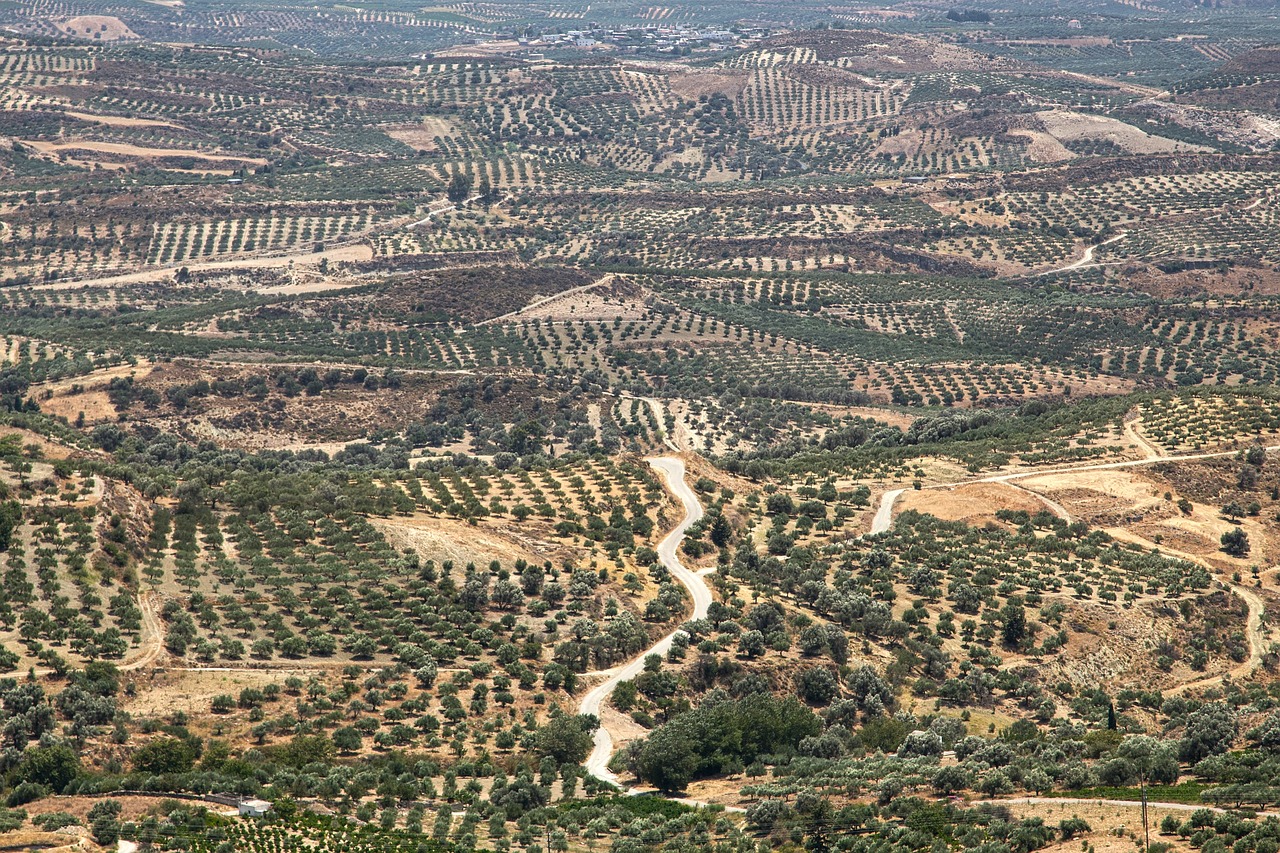 Découverte de Corfou et de ses Environs en 7 Jours